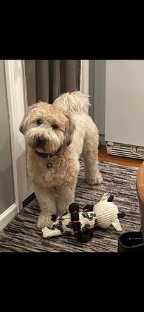 Finn Hubeny