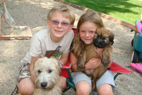 Luna and Turbo with their kids