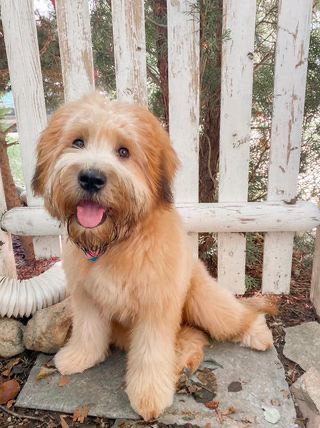 Maggie Bussiere = 9 Months
