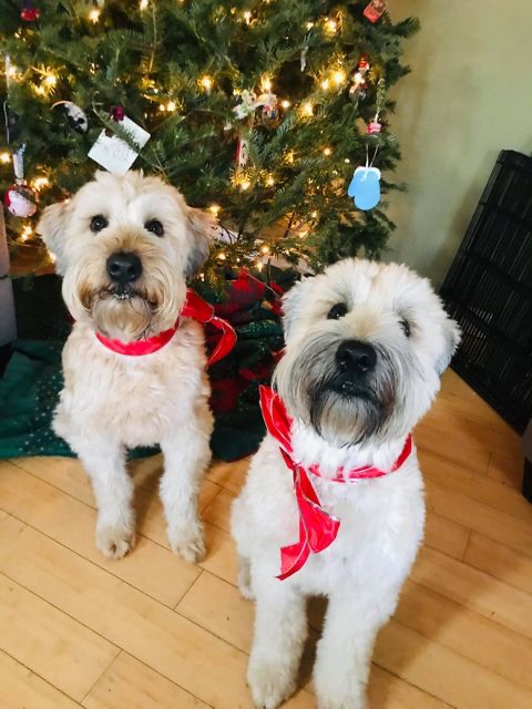 Oliver and Winnie Kain