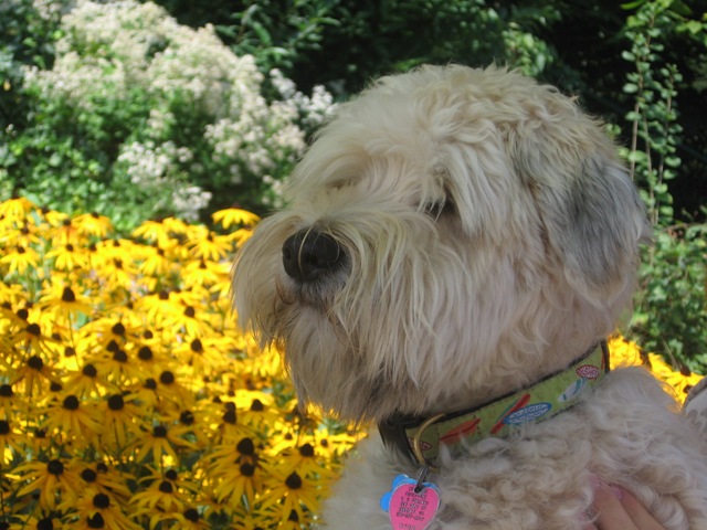 Q MOlley 16 years