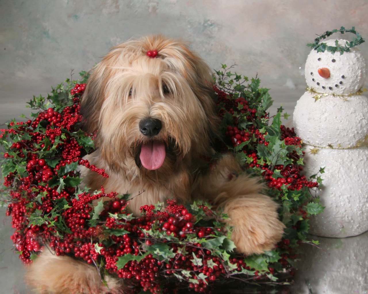 Sugar Murphy Christmas